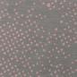 Preview: Baumwoll Jersey Great Fog Hellgrau-Rosa by Käselotti von Swafing